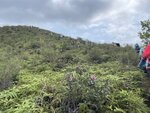 IMG_8921