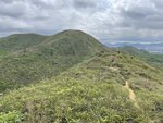 IMG_8934