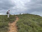 IMG_8945
