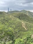 IMG_8956