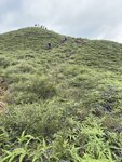 IMG_8958