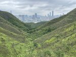 IMG_8959