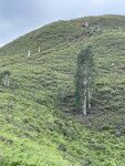 IMG_8961