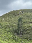 IMG_8962