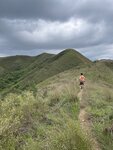 IMG_8971