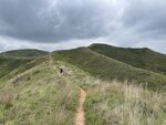 IMG_8974