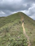 IMG_8976