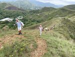 IMG_8979