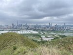 IMG_8987