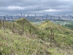 IMG_9006