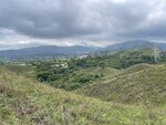IMG_9010