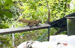 IMG_9024