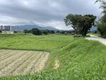 IMG_9060