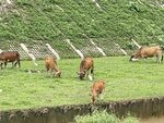 IMG_9067