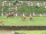 IMG_9068