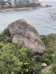 IMG_9345