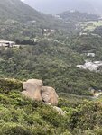 IMG_9351