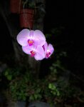 IMG_9514