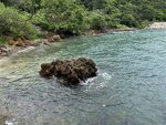 IMG_9520