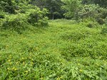 IMG_9524