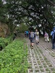 IMG_9561