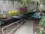IMG_9584