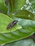 IMG_9605