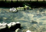 IMG_9776