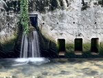 IMG_9777