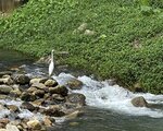 IMG_9781