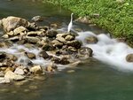 IMG_9782