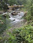 IMG_9792