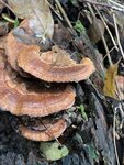 IMG_9809