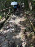 IMG_9846