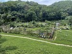 IMG_9871