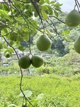 IMG_9872