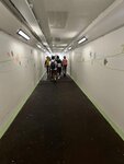 IMG_9874