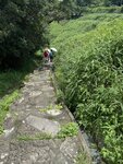 IMG_9880