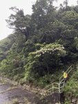 IMG_0012
