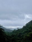 IMG_0013