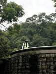 IMG_0017