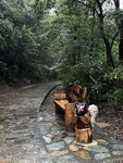 IMG_9986