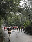 IMG_9987