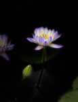 IMG_0212