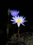 IMG_0215