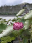 IMG_0272