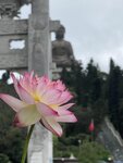 IMG_0290