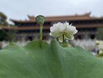 IMG_0298
