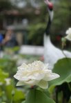 IMG_0301