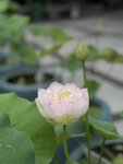 IMG_0303